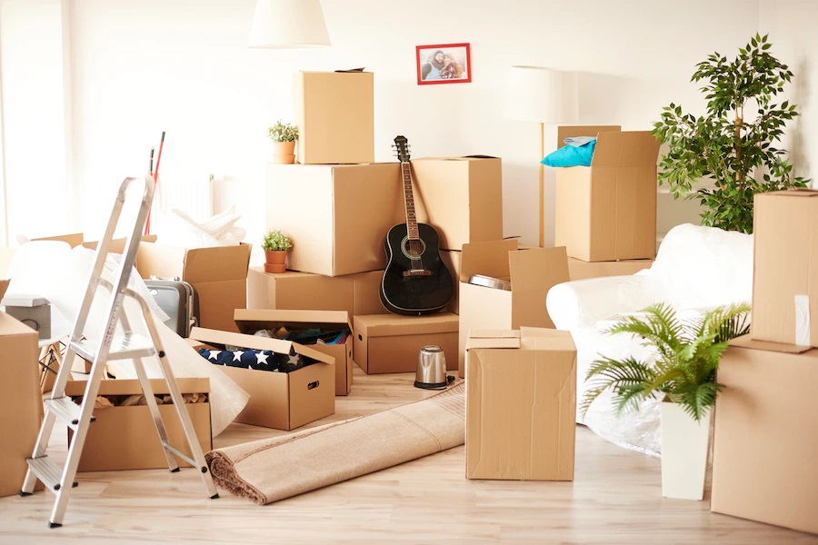 Packers and Movers Noida